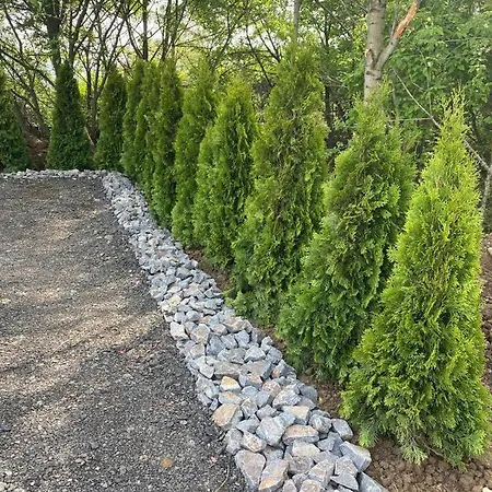 Sirava Daire Klokočov